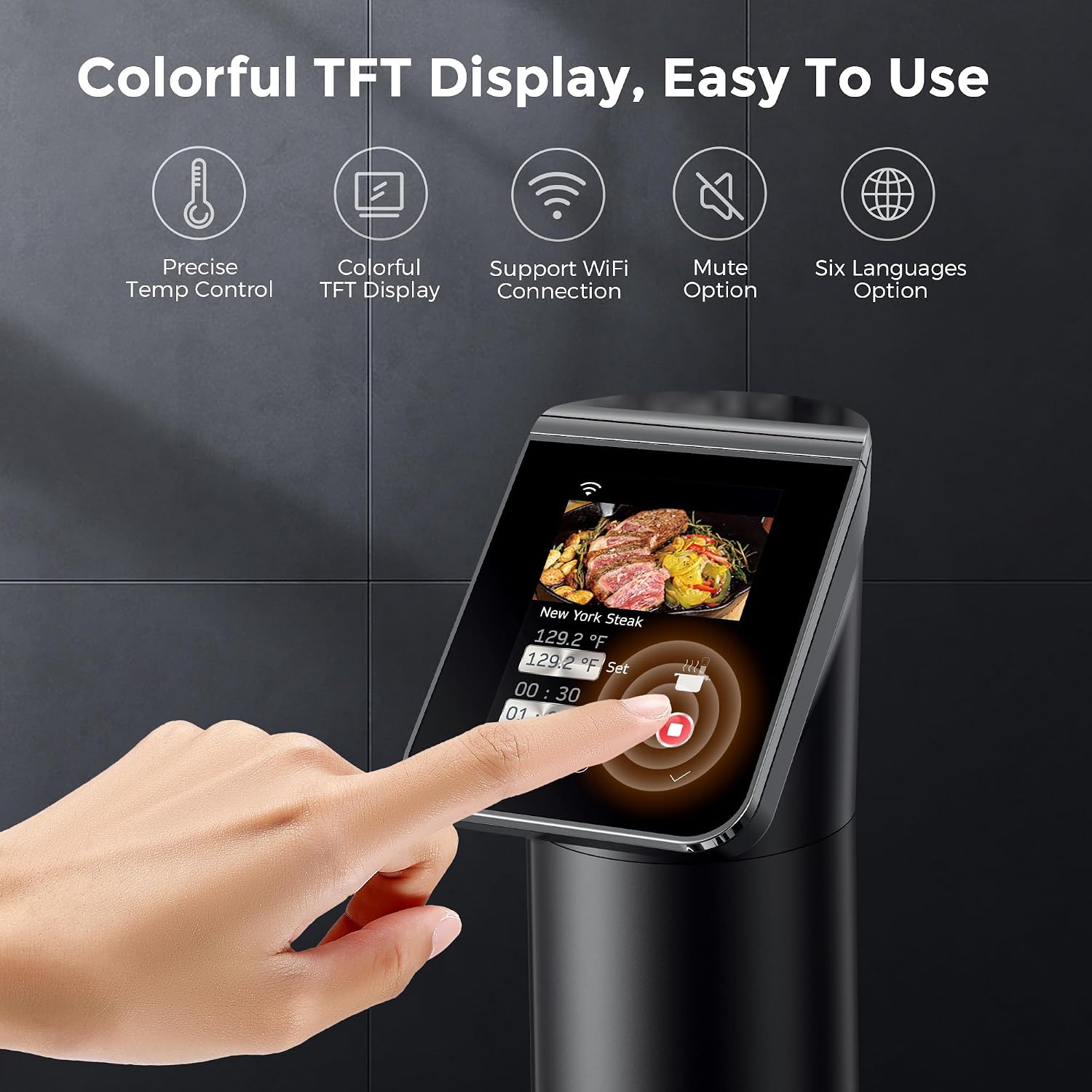 Погружной циркулятор Sous Vide – обзор и цена Sous Vide Immersion