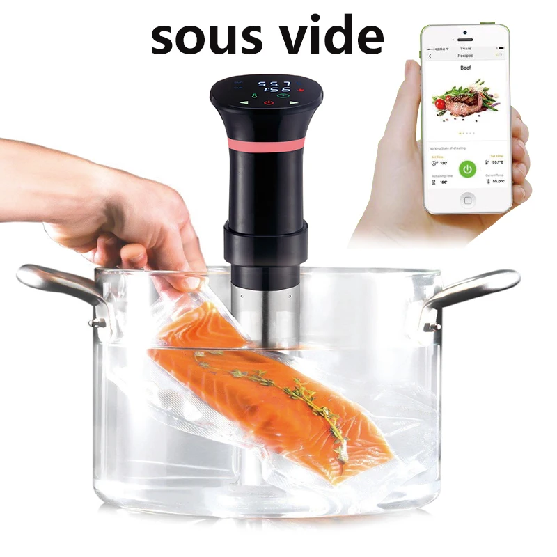 220 В Sous Vide прецизионная п – обзор и цена Sous Vide Immersion